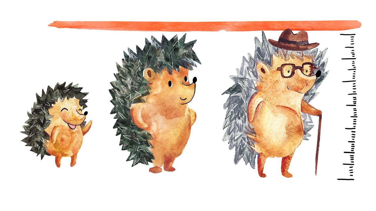 4. Признаки животных смотреть онлайн