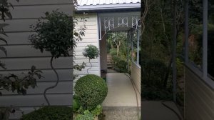 Как сформировать бобовник ?