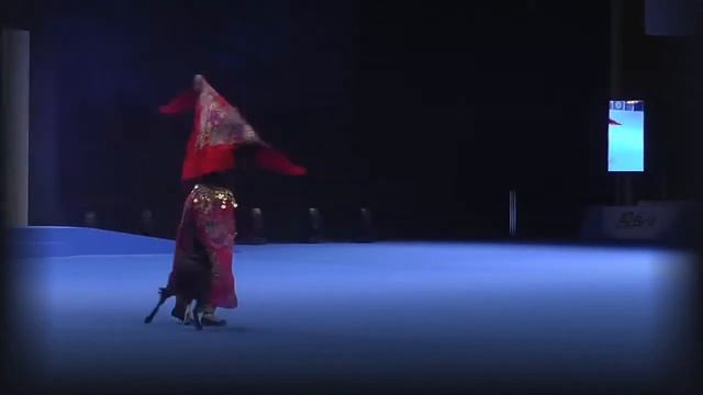 РОССИЯ 2018 | Танцы с собаками | 25. Ейбогина Людмила LET'S JUST DO IT смотреть онлайн