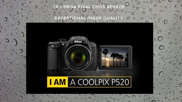 Nikon Coolpix P520 Digital Camera смотреть онлайн