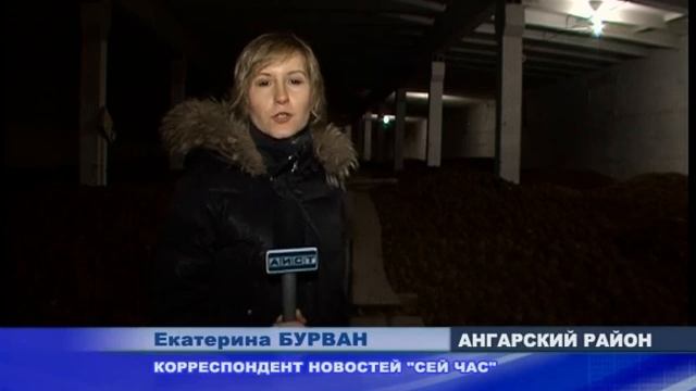 Картофель 1 смотреть онлайн