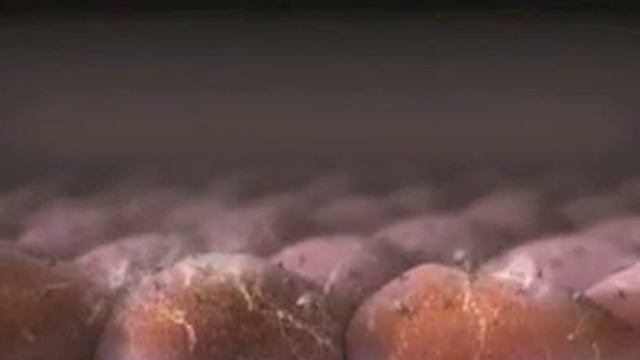 Что такое ageLOC . смотреть онлайн