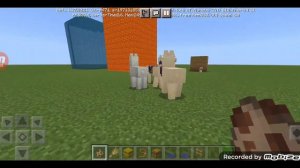 Как приручить Ламу в Майнкрафте