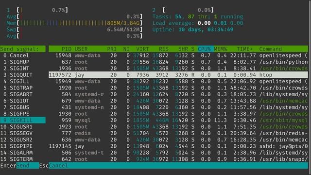 The htop Command | Linux Essentials Tutorial смотреть онлайн