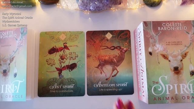 The Spirit Animal Oracle. Karty. Książeczka. Recenzja ? PL смотреть онлайн