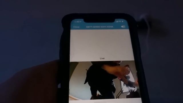 How To Setup Your Blink Camera FAST! Blink Tutorial смотреть онлайн