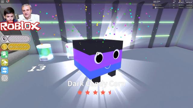 Роблокс 2 МИЛЛИАРДА TIER 15. ТОП ПИТОМЦЫ. РАДУЖНЫЙ + DOMORTUUS СИМУЛЯТОР ПИТОМЦЕВ = ROBLOX по русск смотреть онлайн