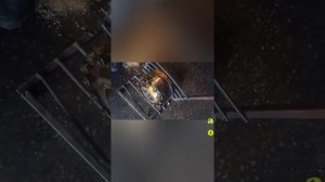 Ремонт Гидродвигатель (гидровращатель) Для Камунальной Техники / Дорожная техника / купить /  Адиро