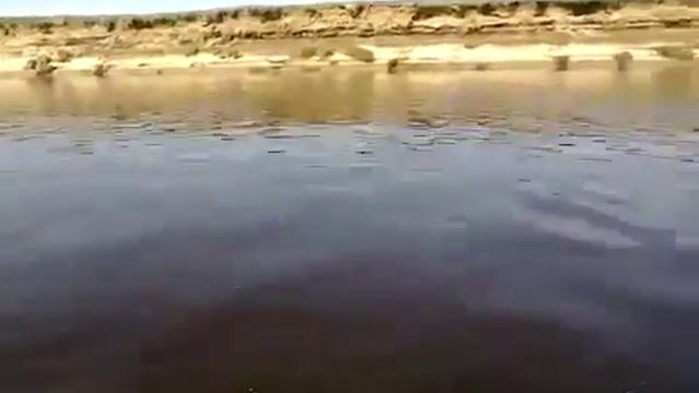 Мотор Sea Pro F5S на воде