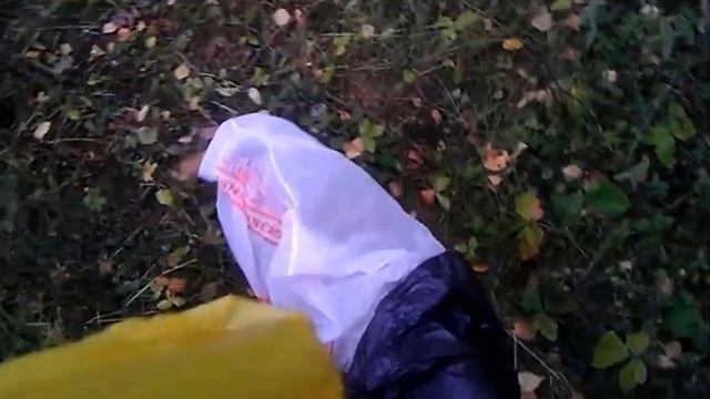 Грибники сделали плащ для собаки смотреть онлайн