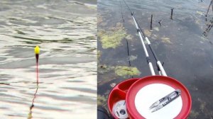 ХЕРАБУНА.Корейский стиль с нуля.