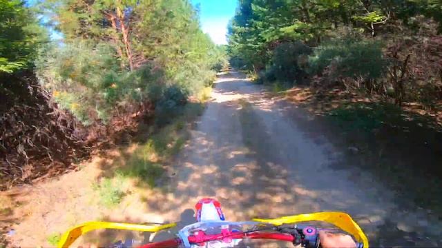 ПОКАТУШКА НА ПИТБАЙКЕ ПО ЛЕСУ! смотреть онлайн