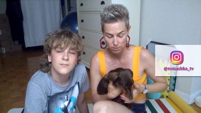 Жизнь в Канаде. Сколько стоит иметь домашнее животное. Заработок на животных | RomashKA смотреть онлайн