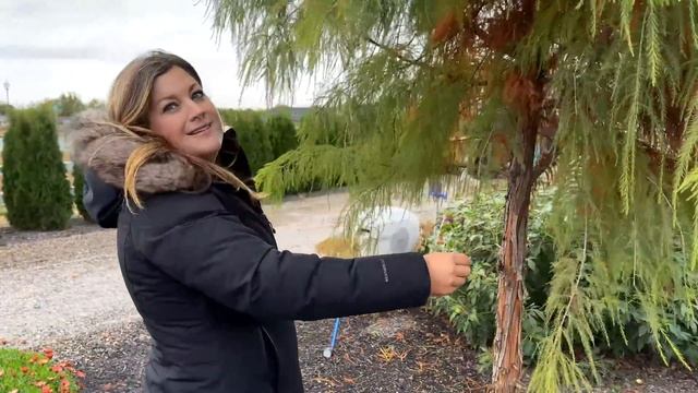 End of October Garden Tour! ??? // Garden Answer смотреть онлайн