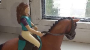 Необычная тренировка у лошадей шляйх