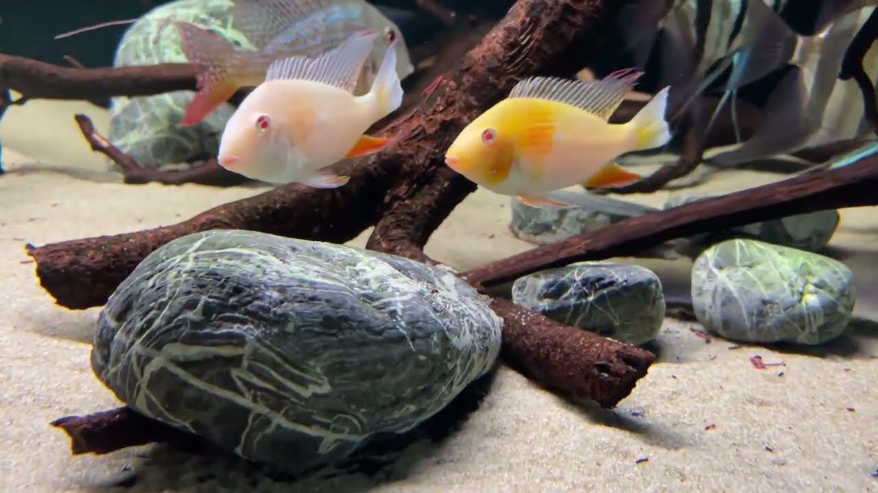 3 июня 2023 г. смотреть онлайн