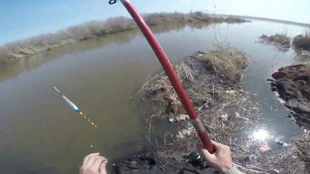 Темиртау. Гребная база смотреть онлайн