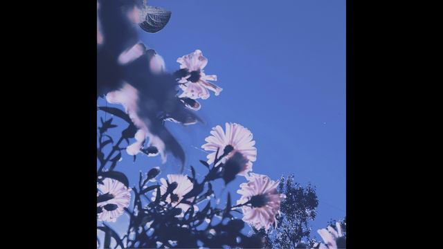 Sunbyonic - Bouquet Of Paper Flowers (slow Flow Mix)