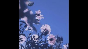 Sunbyonic - Bouquet of paper flowers (slow flow mix)