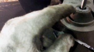 Ниссан ноут. Замена передних рычагов.