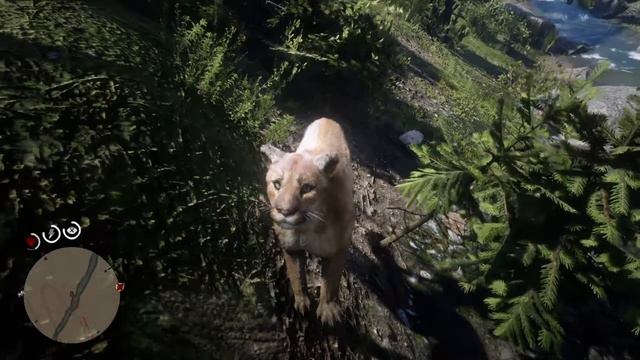 Red Dead Redemption 2 - Mirando un puma desde cerca смотреть онлайн