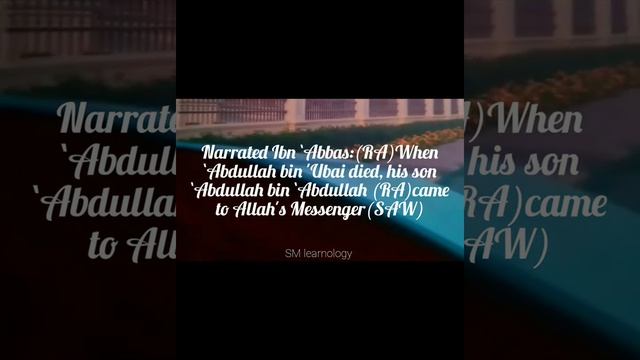 Sahi-Al-Bukhari| Hadees| Narrated Abu Musa(RA)| Narrated Anas bin Malik(RA)| #viral #love #video смотреть онлайн
