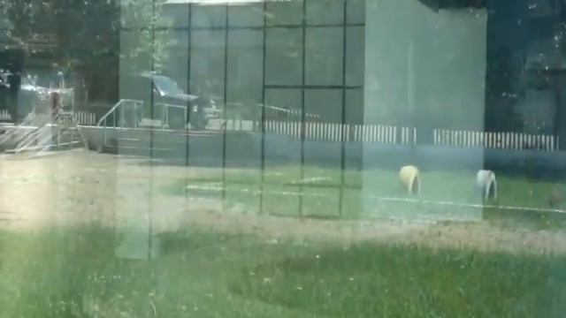 Клуб в Калангуе смотреть онлайн