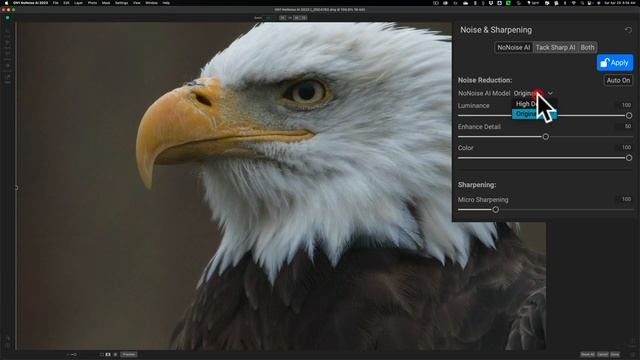 Comparison: On1 NoNoise AI vs Topaz Denoise AI vs Lightroom Denoise AI смотреть онлайн