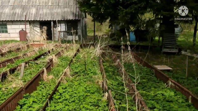 Продажа жилого дома 180 кв.м. с участком 30 соток, д. Замостье, Приозерский район смотреть онлайн