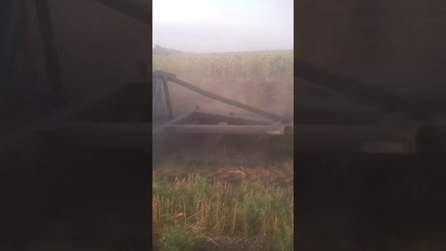 Мини-Бизон с плугом смотреть онлайн