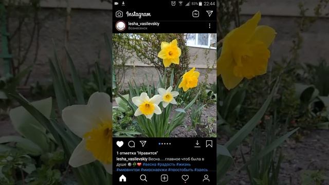 Как делать репосты в инстаграме и тут же публиковать в Фейсбуке, Одноклассниках, Твиттере и Тумблер смотреть онлайн