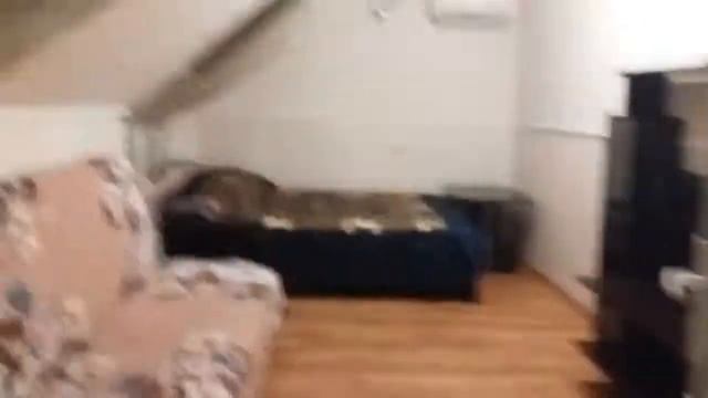 АДЛЕР. УЛ КАЛИНИНА МАНСАРДА ЗАЕЗД Отдыхающих. Море 2 мин пешком. смотреть онлайн