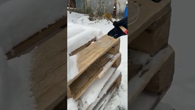 Дисепт Гель - Антисептик для древесины