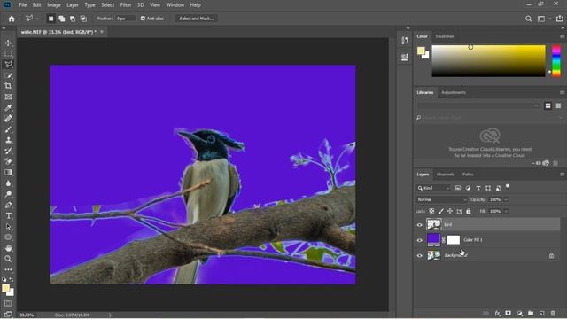 WILDLIFE photography background editing in Photoshop CC смотреть онлайн