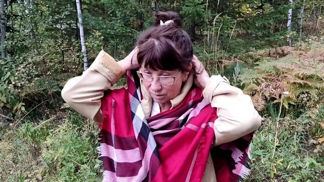 #еленатогашевская ? КАКОЙ ЗАБОР НРАВИТСЯ смотреть онлайн