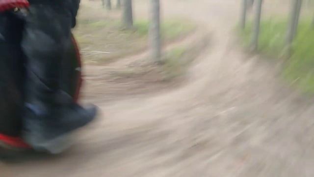 На одном колесе по лесным тропинкам.#euc #моноколесо #лес # смотреть онлайн