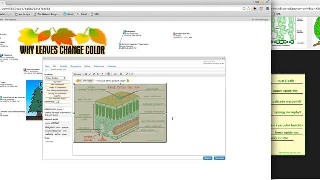 Knowledge Forum 6 | Tutorial 6 - Adding images to contributions смотреть онлайн