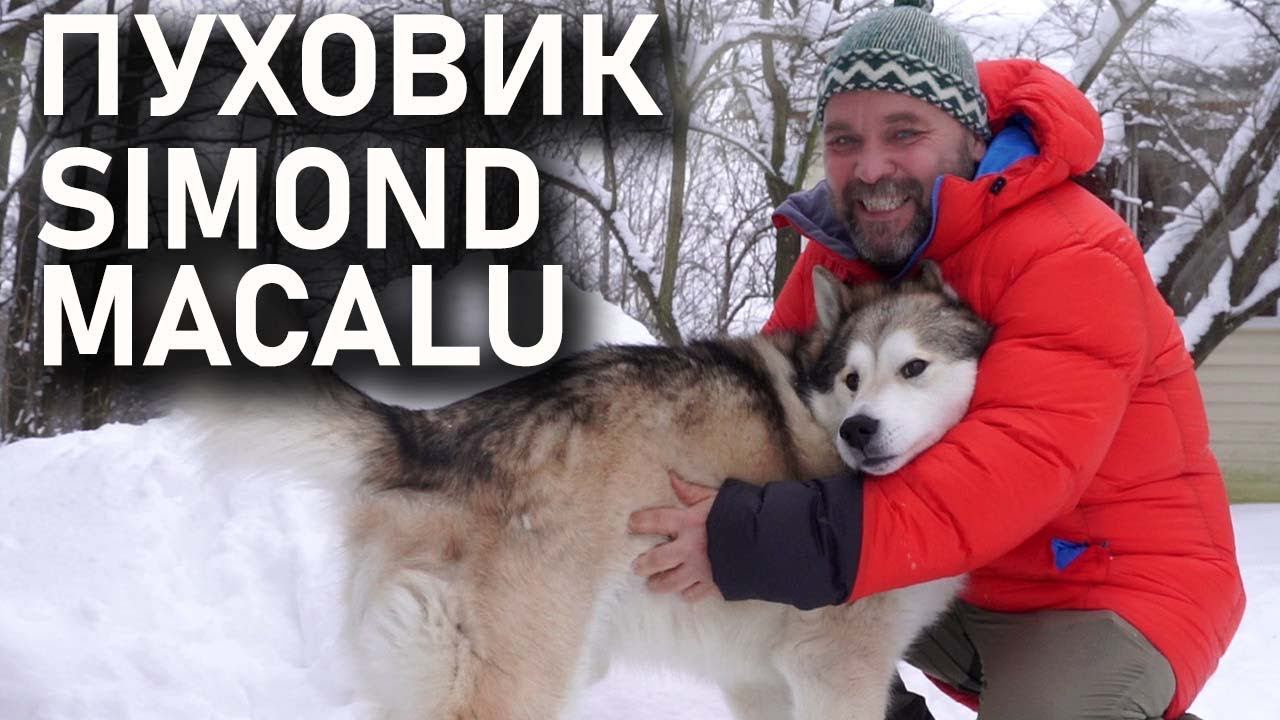 Пуховик Simond Makalu Декатлон: для альпинизма, горного туризма и крайнего севера смотреть онлайн