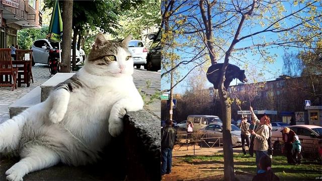 Что происходит в мире за один день? смотреть онлайн