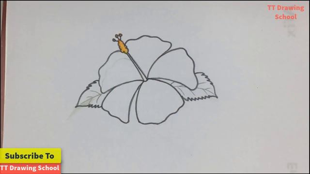 How to draw a China Rose (Hibiscus Flower) смотреть онлайн