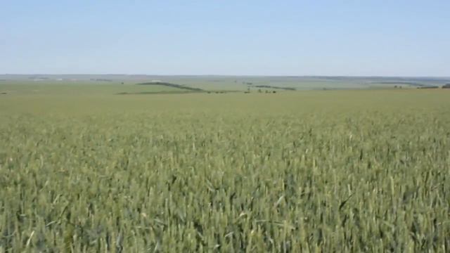 Закладка опыта смотреть онлайн