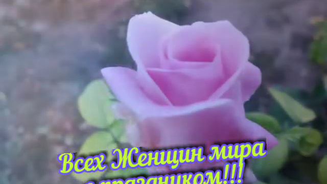 💐 Очень красивое поздравление с 8 Марта 💐 Поздравляю всех с международным женским днём!!!🌹🌹🌹 смотреть онлайн