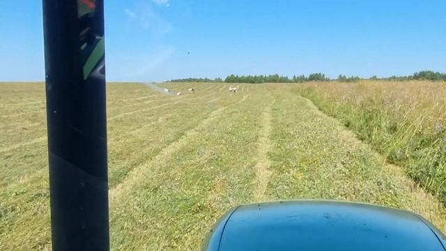 ГОТОВИМ СЕНО. РАЗНОТРАВЬЕ. Урожай 2022 года, конец Июля... смотреть онлайн