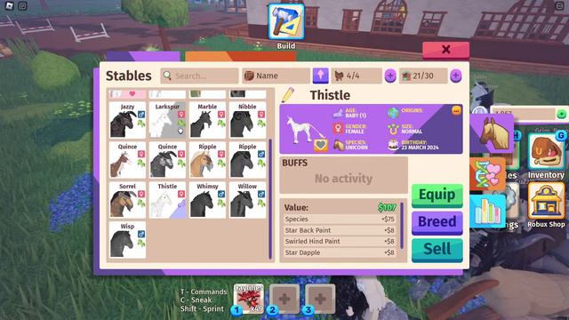 Horse Life Stream! II Catching & Breeding Rare Horses!