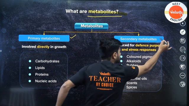 Biomolecules | NCERT Lines + PYQ's Solving | NEET 2024 Biology | Basavaraj Sir смотреть онлайн