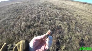 Коп в полях Ростовской области.