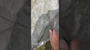 Как сделать искусственный камень  из цемента и песка и из разных отходов мусора🤗
