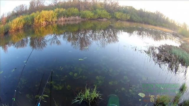 Ловля крупного линя в начале мая! Линь на поплавок! смотреть онлайн