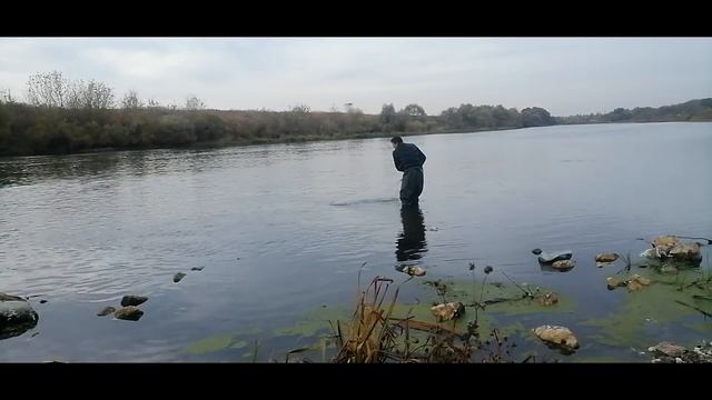 кастинговая сеть, 10 карпов за один раз смотреть онлайн