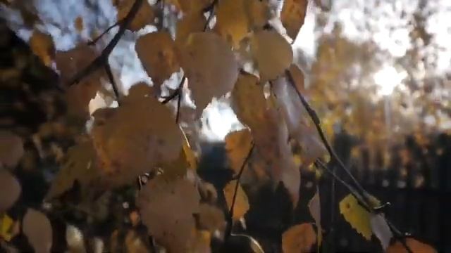 Село Вятское с высоты Самая красивая деревня России смотреть онлайн